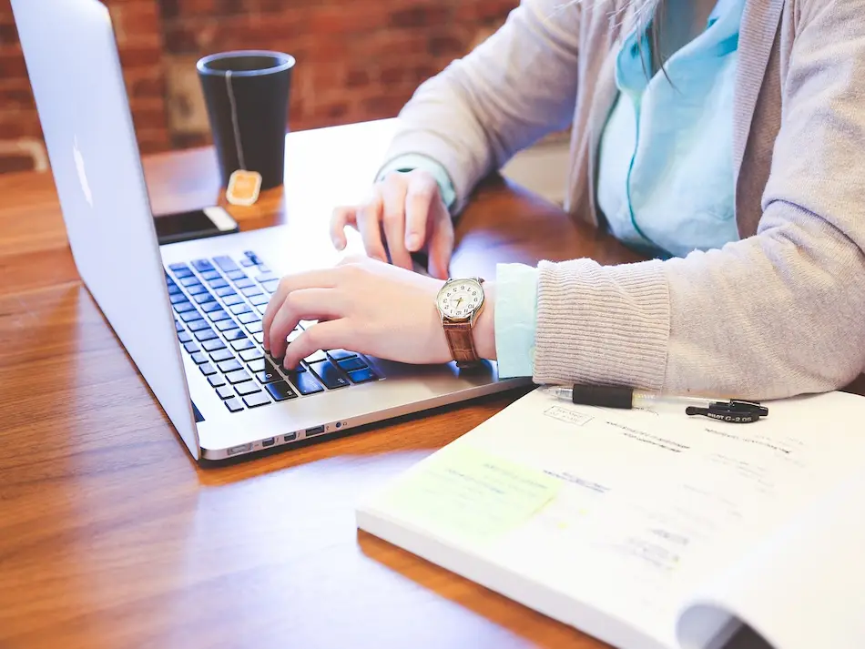 Divi o Elementor. ¿Cuál elijo?